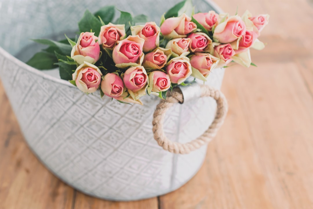 Bunte Frühlingsblumen in einer Vase arrangiert.